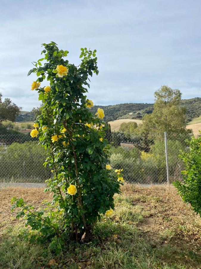 Villa Casa Rosa, El Torcal Almogía Esterno foto